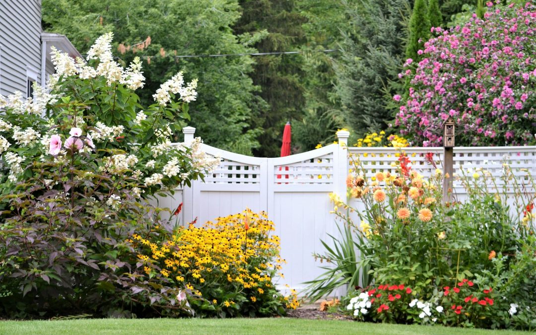 Framing Eden: Choosing the Perfect Garden Fence for Your Outdoor Sanctuary